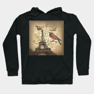 dark academia bird vintage crown french scripts paris eiffel tower Hoodie